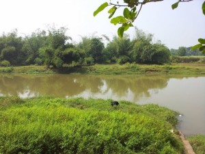 River Prachi